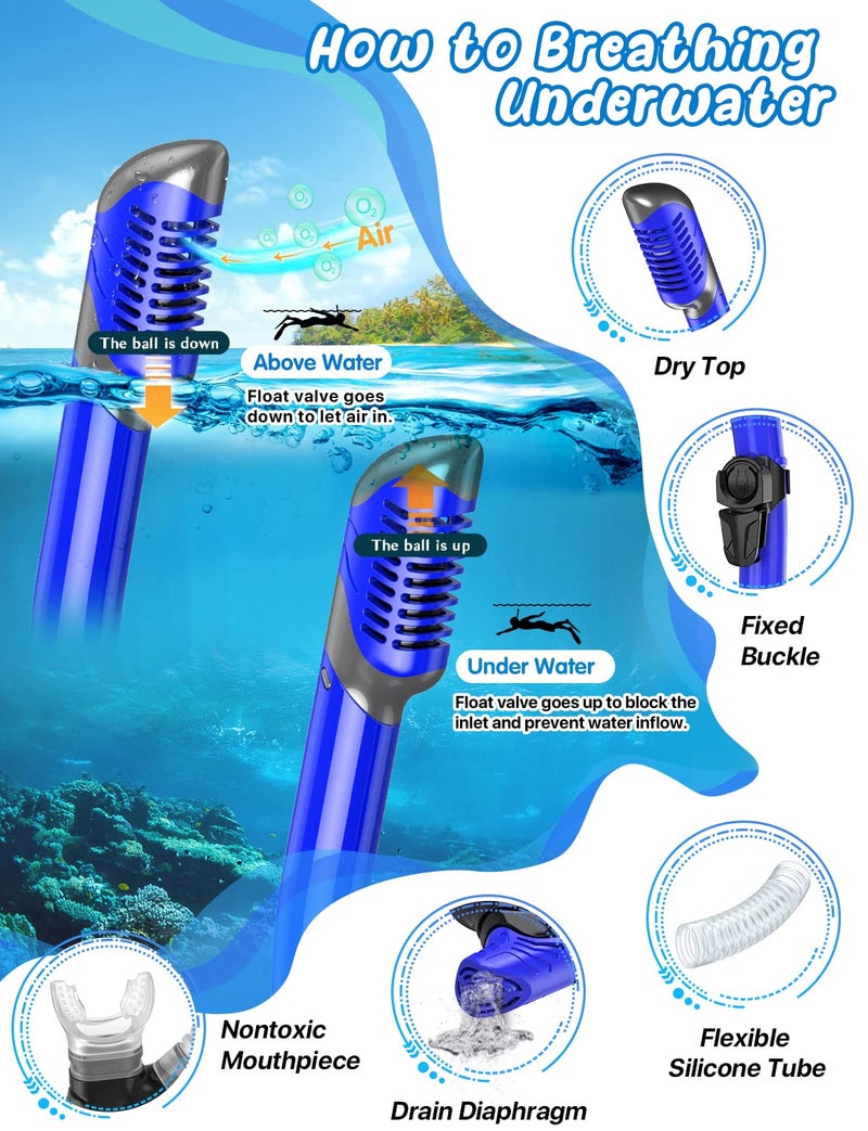 Zenoplige Mask Fins Snorkel Set, Snorkeling Gear for Adults, Panoramic View Snorkel Mask Anti-Fog, Adjustable Dive Flippers, Dry Top Snorkel and Travel Bag, Scuba Gear for Swimming Snorkeling Diving - Image 3